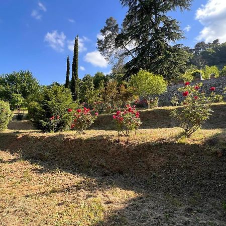 Borgo Al Canto Degli Alberi ルッカ エクステリア 写真