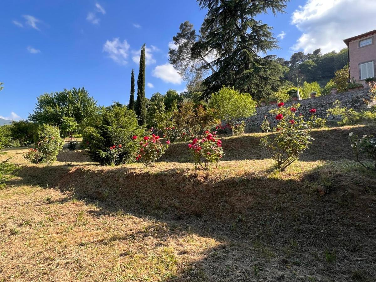 Borgo Al Canto Degli Alberi ルッカ エクステリア 写真