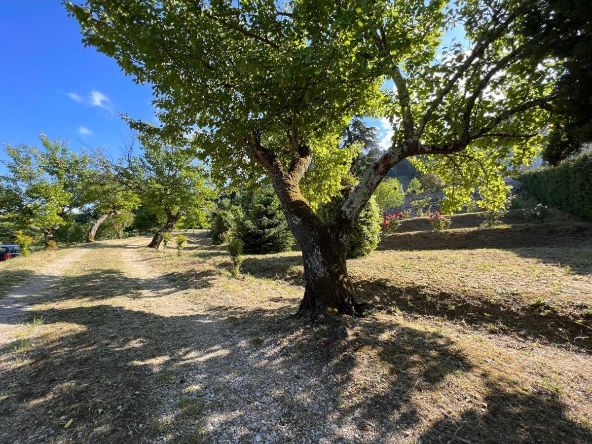 Borgo Al Canto Degli Alberi ルッカ エクステリア 写真
