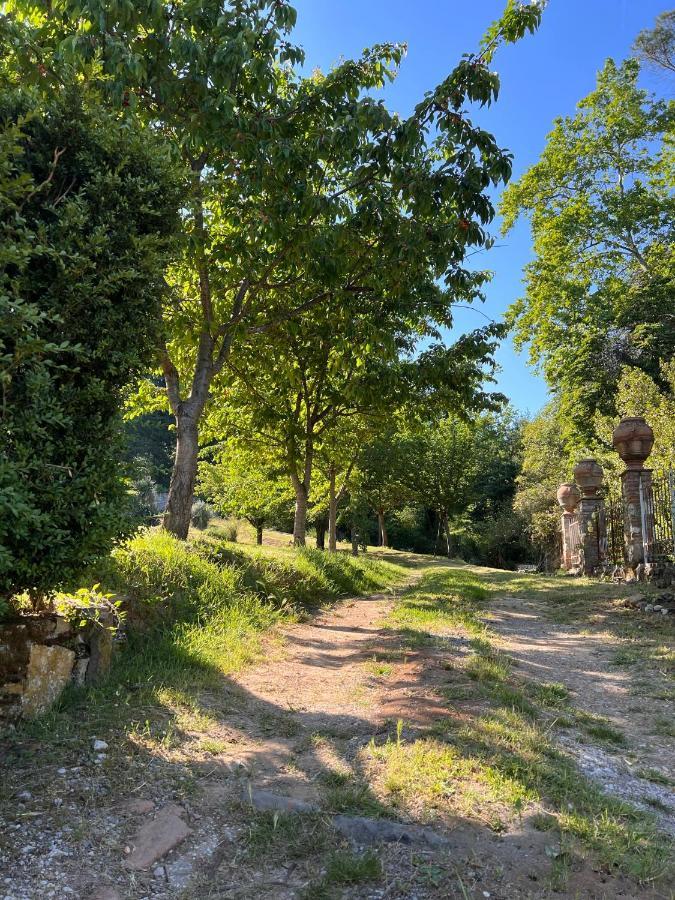 Borgo Al Canto Degli Alberi ルッカ エクステリア 写真